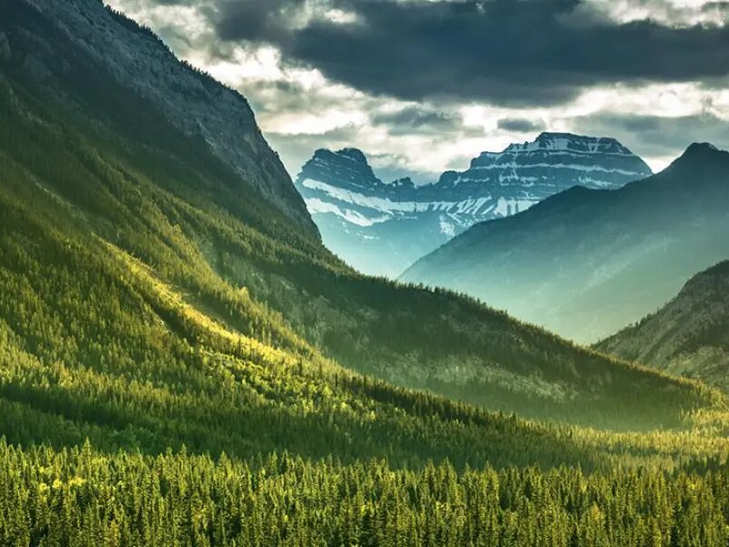 潔福地板哪些產(chǎn)品是最新專利技術-EVERCARE激光穿