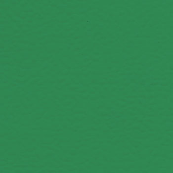 TARAFLEX?室內足球專業(yè)運動地板